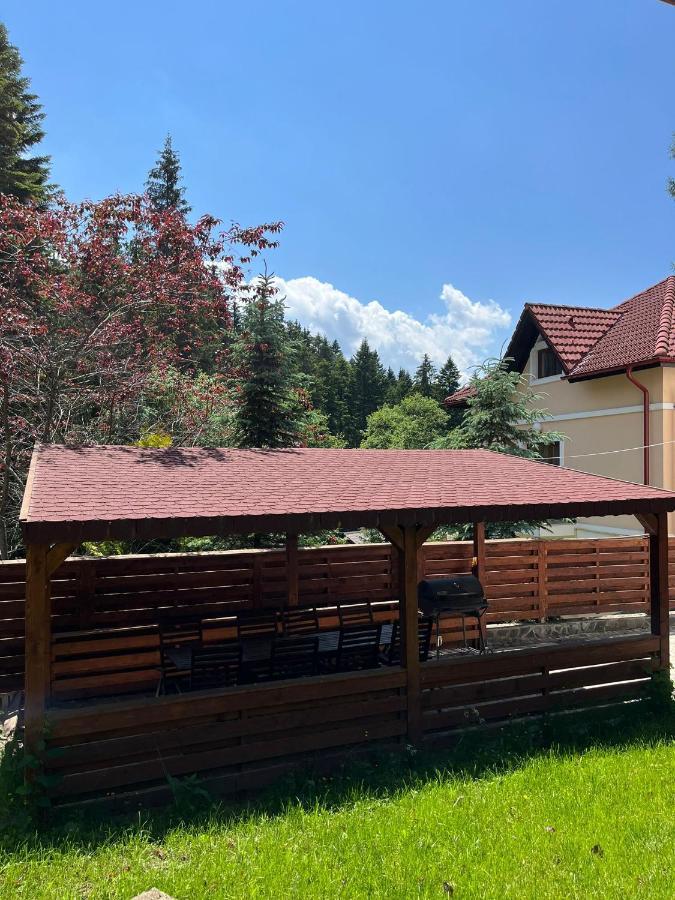 Vila 7 Predeal - Unique Location In The Forest Exterior photo